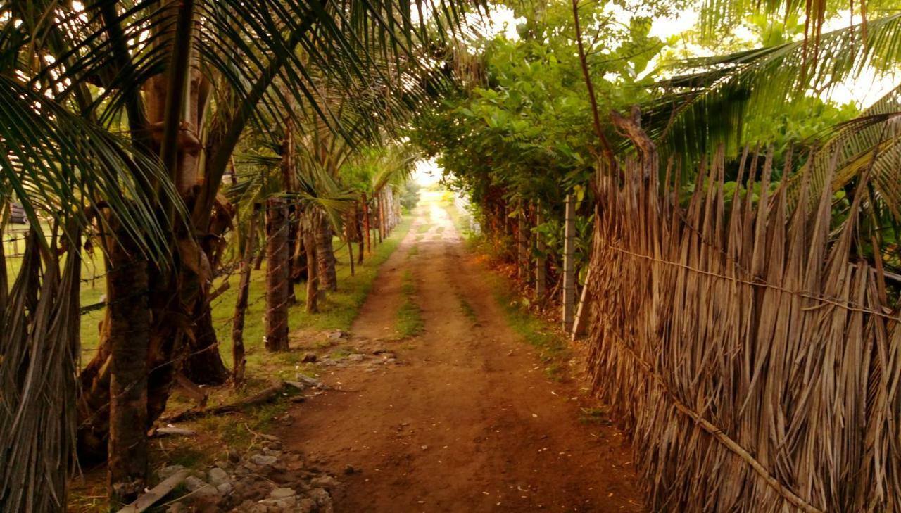 Werala Beach Resort Kalpitiya Exterior foto